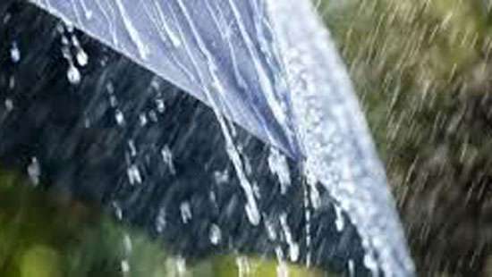 Met Dept. warns of showers about 100mm