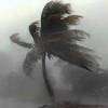Rough seas, strong winds forecast for multi-day fishing boats