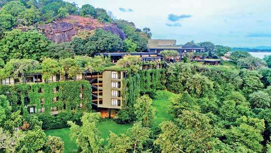 Biodiversity forest oasis surrounding Heritance Kandalama expands