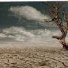 Southwest Monsoon active but weakened by El Niño conditions