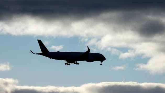 Man allegedly attempted to open plane door on flight to Sydney