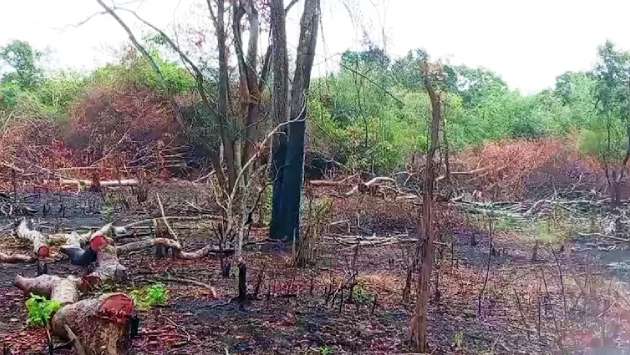 Five arrested for illegally clearing Kahalla Pallekele Sanctuary