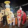 Shortage of elephant participation for Kandy Esala Perahera