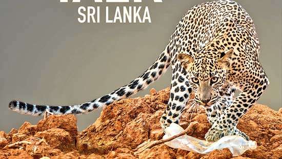 Walk the Talk Sri Lanka:  A call to action