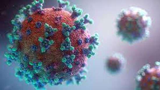 COVID variant found in France is not a concern: WHO