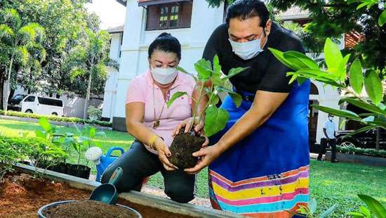 Home Garden Challenge