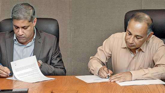 First Capital to restore 15 acres of forest in partnership with WNPS-PLANT