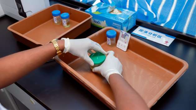 Mobile drug-testing program begins for public transport drivers