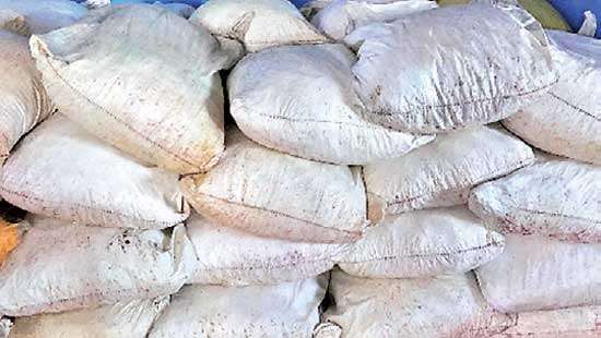 Five suspects arrested with 1,989 Kg turmeric