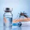 Dengue vaccine not the solution to current outbreak: Expert