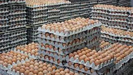 Over 92 million eggs to be imported from India