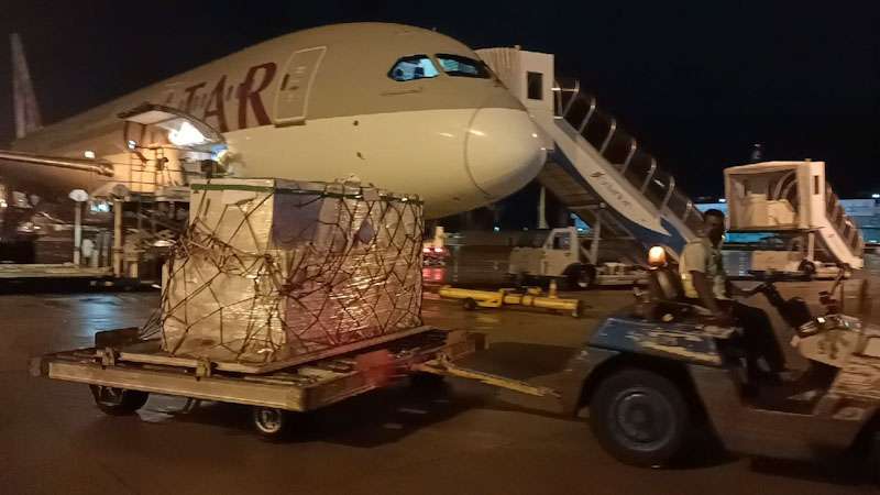Over 200,000 Pfizer vaccines arrive