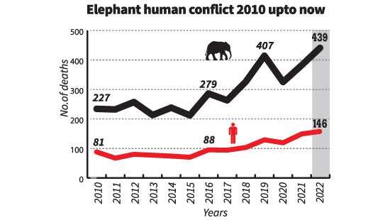 Toll of Human-elephant conflict on the rise