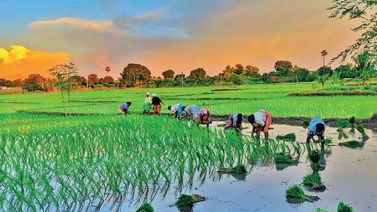 Food and Financial Self-Sufficiency: The key to survival  in an increasingly unstable world