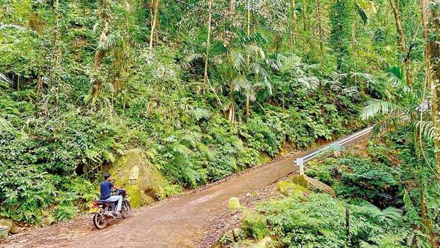 Villagers oppose harming forest reserve to build road in Sinharaja