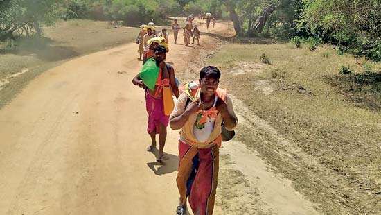 Kumana sanctuary gates opened to facilitate ‘Pada Yathra’