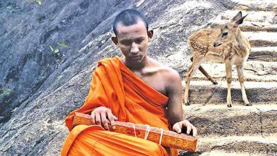 Sinhala Buddhists are (not) racists, didn’t you know?