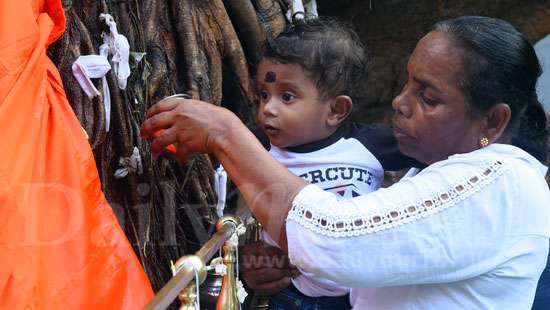 Seeking blessings on Navam Poya