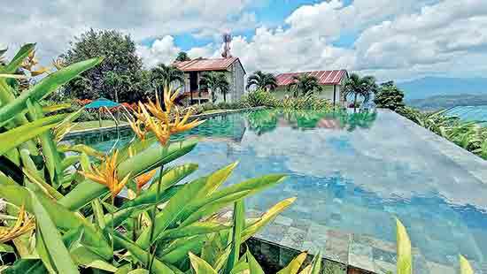 ‘Fox Kandy’ Six years of excellence in the hills of Hantane