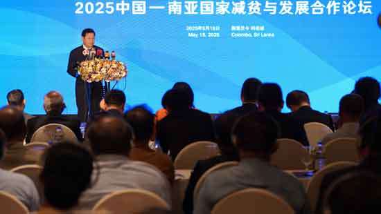 Poverty Reduction and Developmental Synergies