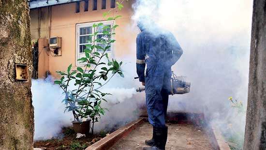 CMC workers spray insecticides in mosquito breeding sites
