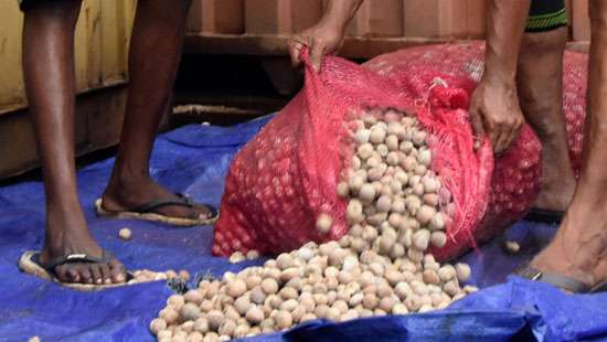 SL Customs thwart massive Karunka transshipment at port