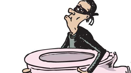 Man gets jail term for stealing commode