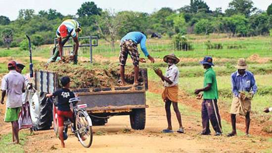 Rs.50 Mn to each Govt. MP for rural development