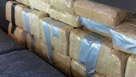 Bid to smuggle ganja to SL foiled, 661 kg seized