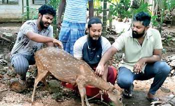 Pregnant Doe rescued in Anuradhapura