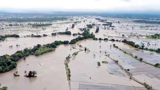 Sri Lanka’s collision with nature: Lessons from India to address the agrarian crisis