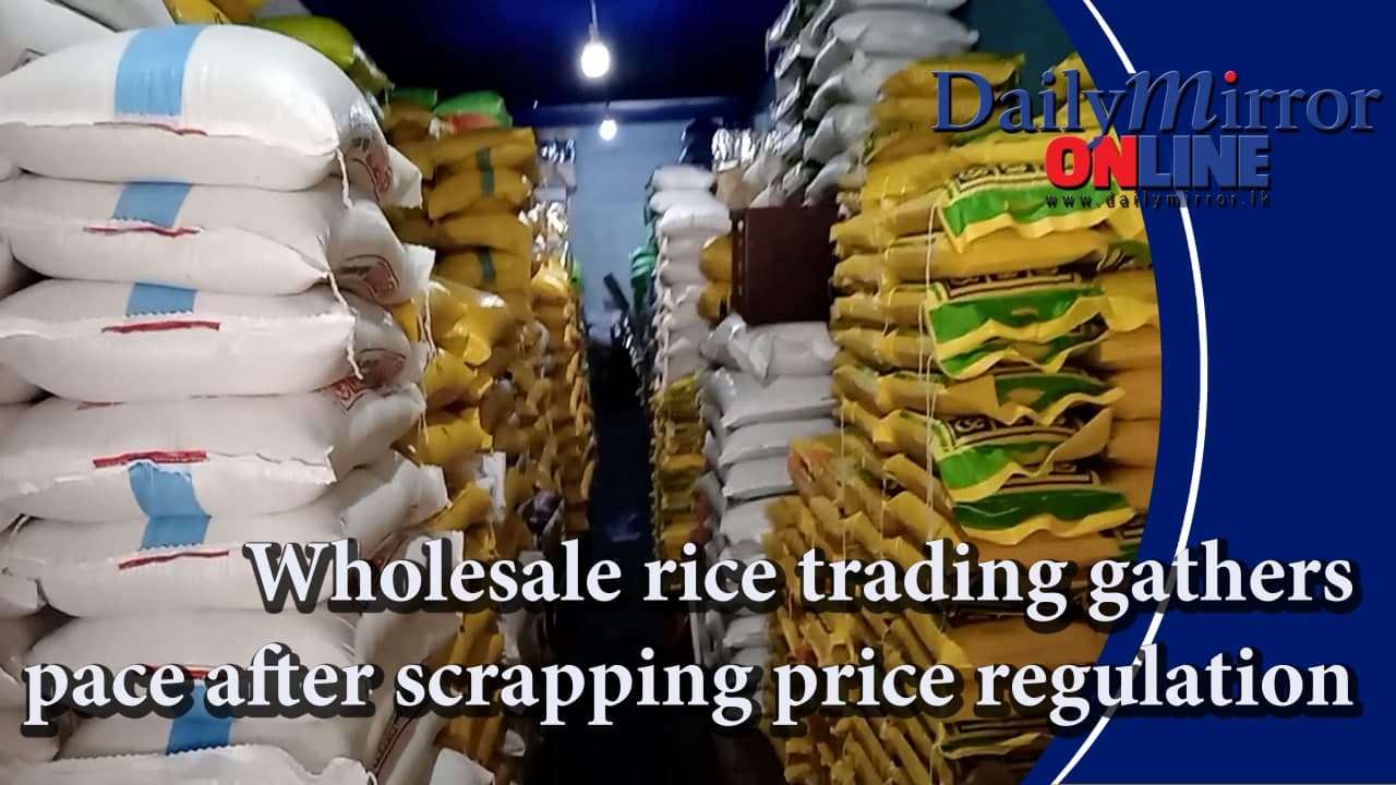 Wholesale rice trading gathers pace after scrapping price regulation