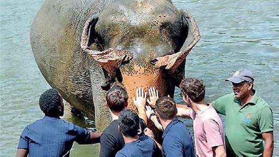 Tourist arrivals surpass 100,000 mark in  first 20 days of October