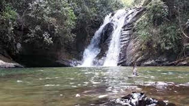 ’Aliya Wetunu Wewa’ forest to be declared reserve under Wanaspathi Programme