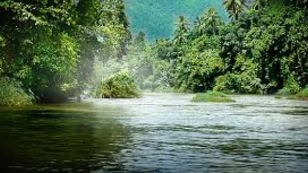 Reservoir water levels returning to normal: Irrigation Dept.