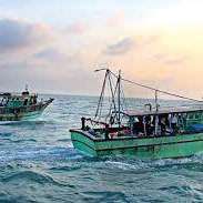 Sri Lanka brings new law  to tackle  IUU fishing amid unlawful fishing by Indian fishermen