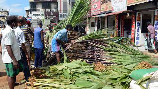 Getting ready for Thai Pongal