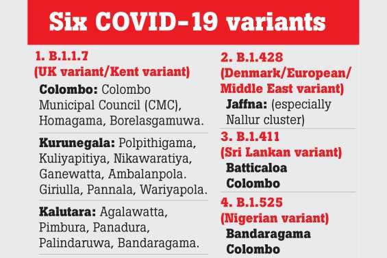 Six COVID-19 variants so far identified in SL