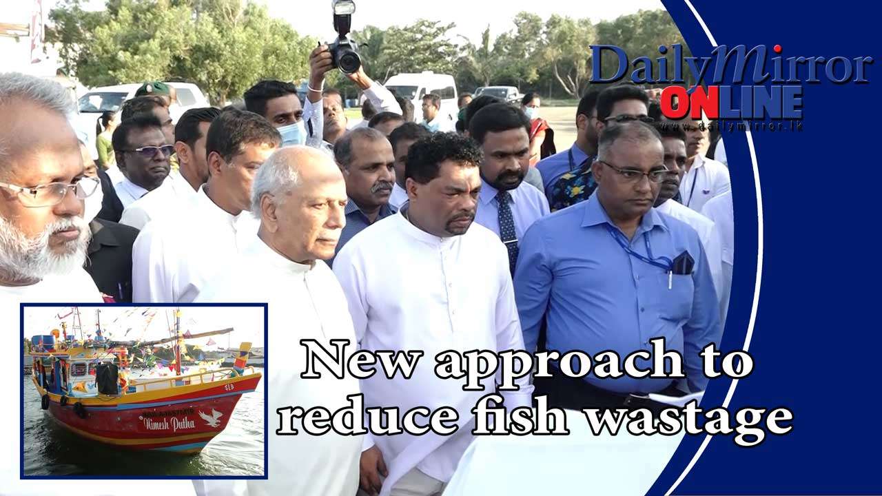 New approach to reduce fish wastage