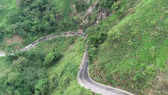 Fallen trees cause traffic standstill on Ella-Wellawaya road