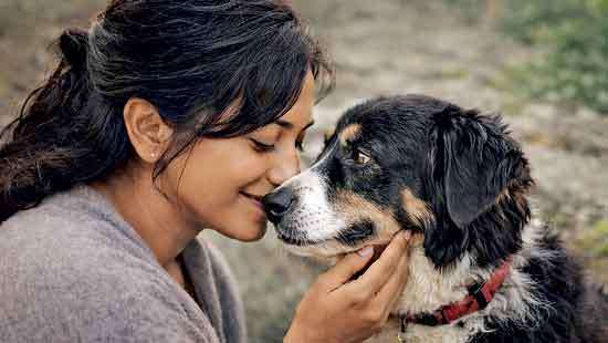 Women and Their Dogs A Bond That Does More Than Comfort