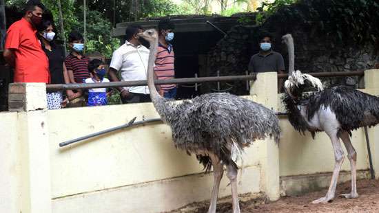 Dehiwala Zoo opened for public