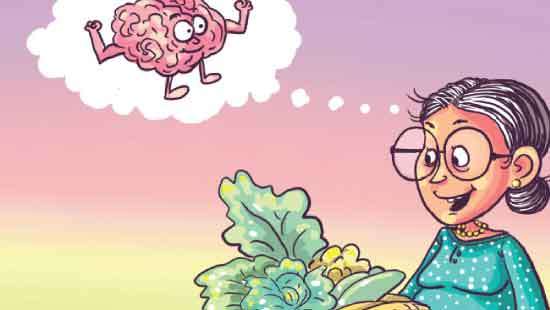 Sri Lankan Nutrition Key  For preventing memory loss in seniors