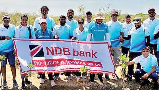 NDB volunteers support mangrove conservation efforts at Anawilundawa