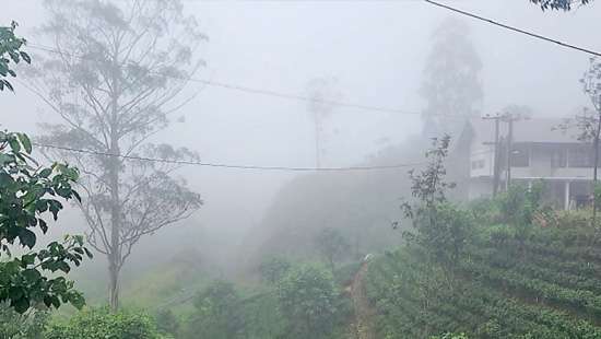 Thick mist on upcountry roads