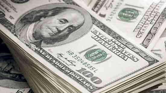 Central Bank dollar sales hit 31-month high amidst currency pressure