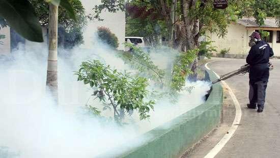 Dengue eradication programme at Colombo Campus