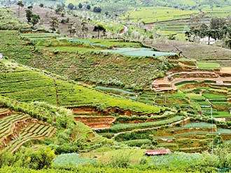 Little England... Nuwara Eliya