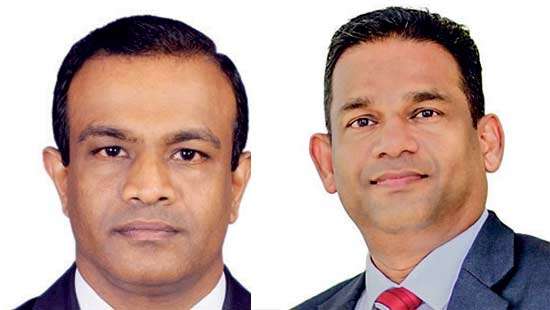 Pelwatte Dairy’s key appointments to drive growth