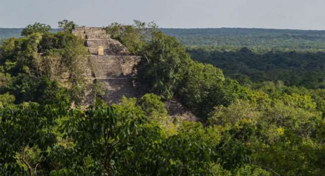 Student discovers lost Mayan city in Mexico jungle by accident